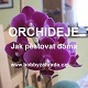 Poradna pro pěstování orchidejí